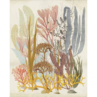 KOMAR Vliestapete "Catchy Corals" Tapeten Gr. B/L: 200 m x 250 m, Rollen: 1 St., bunt Blumentapeten