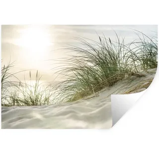 WANDTATTOO Dünen mit Strandhafer in der Sonne des Nationalparks Schleswig-Holsteinisches Wattenmeer Wandsticker 120x80 cm