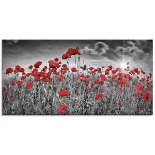 ARTland Wanddeko Glasbilder Wandbild Glas Bild einteilig 60 x 30 cm Pflanzen Blumen Blumenwiese Mohnblume Rot Foto Schwarz Weiß Idyll Sonne S8HV