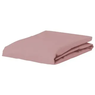 Essenza Spannbettlaken Premium Percale 160 x 200 cm rosa