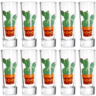 Dicunoy 10 Stück Schnapsgläser Hoch 6cl Glas, Shotgläser Set, Schwere Schnapsgläser mit Kaktusaufdruck für Tequila, Whiskey, Liköre, Wodka, Cocktail