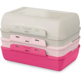 Emsa Lunchbox EMSA "Variabolo", grau, pink, B:11,8cm H:10,8cm L:16cm, Polyprophylen (PP), Lebensmittelaufbewahrungsbehälter, Lunchbox, platzsparend, verschiedene Farbkombinationen, spülmaschinenfest