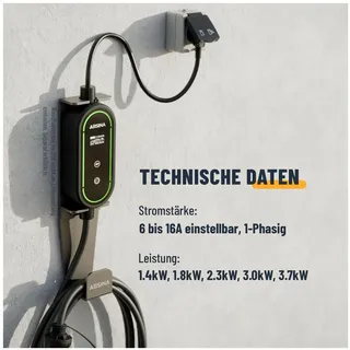 Absina Typ 2 Ladekabel 6,00 m