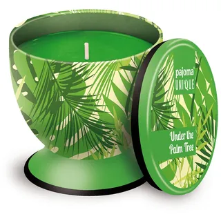 pajoma® Duftkerze UNIQUE ''Under the Palm Tree'', 240 g, Premium Duftkerze mit hohem Duftanteil, verschließbar, Brenndauer: 40 Stunden