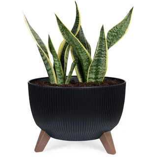 KONZEPT Pflanzenschale mit Füßen 33 cm Blumentopf Kunststoff Schwarz, Pflanzkübel Groß Außen, UV-Beständig, Wetterfest, Mit Wasserablauf, Perfekt für Solarbrunnen & Miniteich