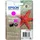 603XL Seestern magenta