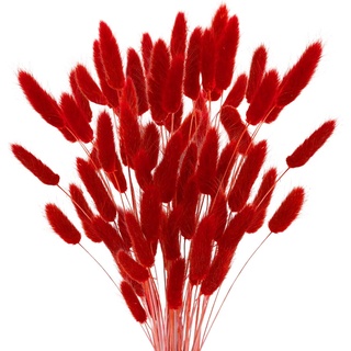 120 Stück Getrocknetes Pampasgras, Lagurus Getrocknet, Natürlicher Blumenstrauß, Bodenvase Deko, Künstlich Groß