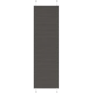 vidaXL Plissee 60 x 200 cm schwarz
