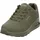 Olive 38