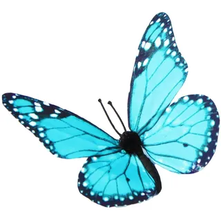 Unbekannt 3D Schmetterlinge Magnet Wanddeko Wandtattoo Auswahl