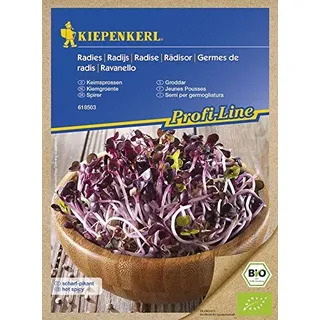 BIO Keimsprossen Radieschen Rot