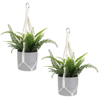 Makramee Blumenampel, 2 Stück Boho Hänge Körbe Für Zimmer Pflanzen Dekorative Geflochtene Baumwolle Seil Blumentopf Halter Mit Metall Haken Ringe Für Outdoor-Heim Dekoration, Keine Quasten 20 Zoll