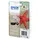 Seestern CMY + Alarm