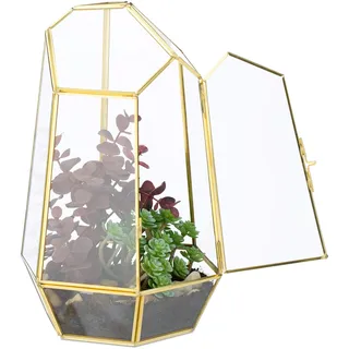 Relaxdays Pflanzenterrarium, Glas & Kupfer, HBT: 26x18x15 cm, Glaskasten Kakteen & Moos, geometrisch, Fensterbank, gold