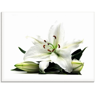 Glasbild ARTLAND "Große Lilie" Bilder Gr. B/H: 80 cm x 60 cm, Blumen, 1 St., weiß Glasbilder