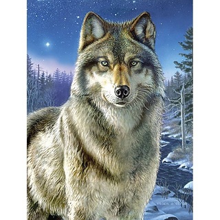 Malen nach Zahlen mit Acrylfarben, "Wolf", 23 x 30,5 cm