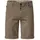 Scotty Braun 33W