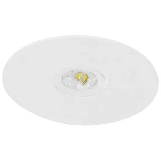 Fischer Sicherheitsleuchte BRE319ENB.V2