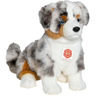 Teddy-Hermann Australian Shepherd Welpe