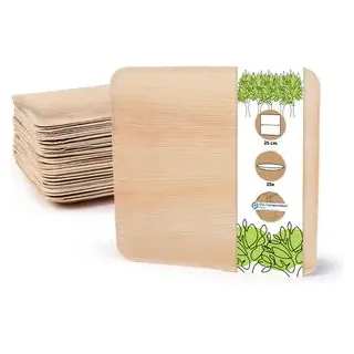 BIOZOYG Einwegteller Palmblatt eckig 25 St. 25 x 25 cm Natur