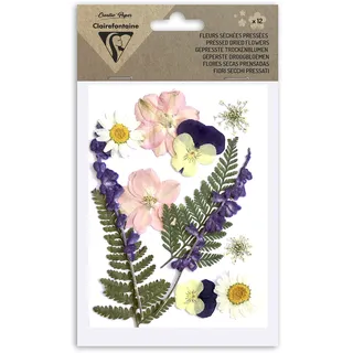 Clairefontaine 195594C- Packung mit 12 gepressten Trockenblumen, sortiert, 1 Pack