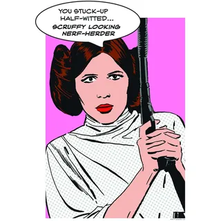 KOMAR Star Wars Leia 30x40 cm