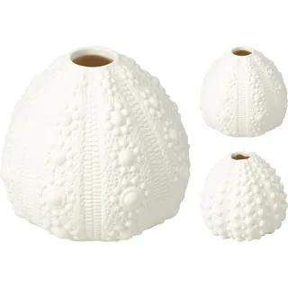 Vase MUSCHEL (DH 10x9 cm) - DH 10x9 cm