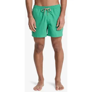 QUIKSILVER Everyday Solid Volley 15 Badeshorts Leprechaun XL