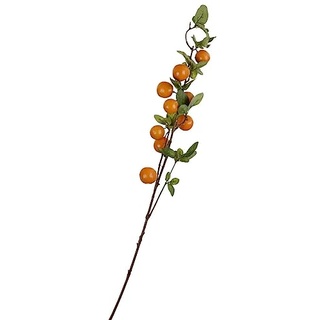 Comarco Sa Zweig mit Orange 83 cm