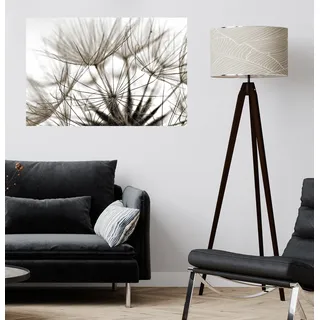 QUEENCE Wandsticker "Susi" Wandtattoos Selbstklebend, kinderleichte Anbringung Gr. B/H/T: 150 cm x 100 cm x 0,1 cm, Pusteblume-Blume, grau Wandtattoos Natur