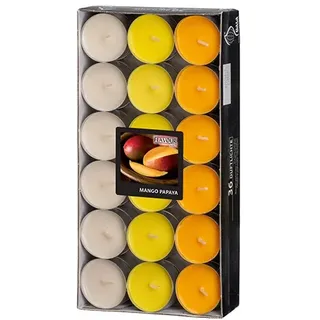 Papstar Duftteelichter, Mango-Papaya, Ø 38 mm · 17 mm, "Flavour", 8 x 36 Stück