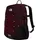 Deep Burgundy/TNF Black