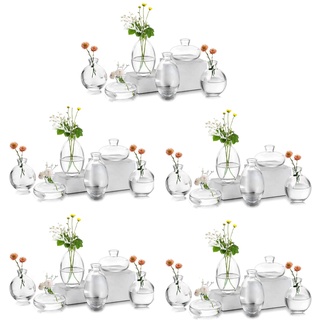 EylKoi Kleine Vasen füR Tischdeko Glas 10 Sätze(30 Stück) Transparent Mini Vase Vintage Handmade Hydroponic Glasvase Blumenvase Modern Set Fuer Hochzeit Tischdeko, Zuhause Wohnzimmer Blumen Rose