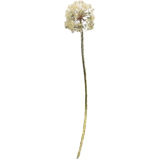 HTI-Living, Kunstpflanzen, Kunstblume Pusteblume (91 cm)