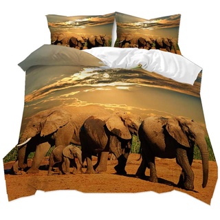 HNHDDZ 3D Tier Elefant Afrika Wiese Landschaft Drucken Bettwäsche-Set für Kinder Bettbezug Junge Mädchen Jugendliche Weich Atmungsaktiv, Mit Kissenbezug 80x80 (Elefant 4, 200x200 cm)