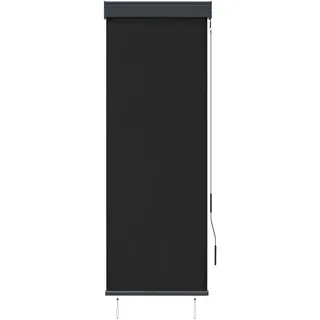 vidaXL Außenrollo 60 x 250 cm Anthrazit