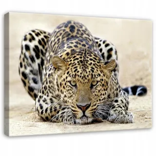 WallArena Leinwandbild Lampard Tiere Beige 60x40 cm