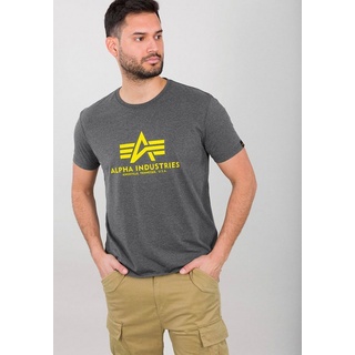 Alpha Industries T-Shirt Basic T-Shirt grau