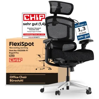 FLEXISPOT Bürostuhl ErgoX, Schreibtischstuhl Premium Ergonomischer (mit 7D-Armlehnen, 5D-Lendenstütze, 4D-Kopfstütze), Schaumstoffsitz Schreibtischstuhl, 250 kg Belastbarkeit schwarz