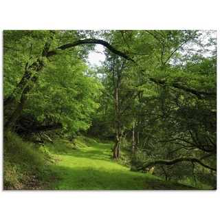 Glasbild ARTLAND "Grüner Weg durch den Wald" Bilder Gr. B/H: 80 cm x 60 cm, Glasbild Wald Querformat, 1 St., grün Glasbilder