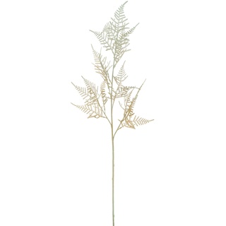 Deko-Zweig Asparagus 80 cm Kunststoff Beige Creme