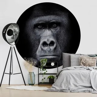 K&L Wall Art Vliestapete »Runde Vliestapete«, Gorilla Safari schwarz Affe, mehrfarbig, matt - bunt