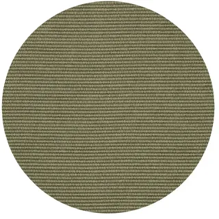 Asa Selection Platzset ¦ grün ¦ Kunststoff Ø: 38.0