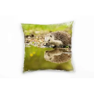 Paul Sinus Art Tiere, Igel, Spiegelung, braun, grün Deko Kissen 40x40cm für Couch Sofa Lounge Zierkissen - Dekoration zum Wohlfühlen