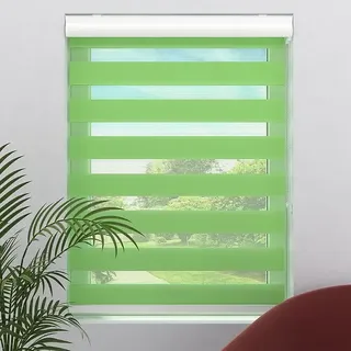 Expo Ambiente Doppelrollo mit Kassette  (B x H: 140 x 175 cm, Grün)