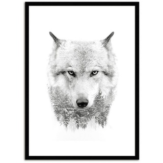 artissimo Bild mit Rahmen Bild gerahmt 51x71cm / Design-Poster mit Holz-Rahmen / Wandbild Wolf, Wolf schwarz