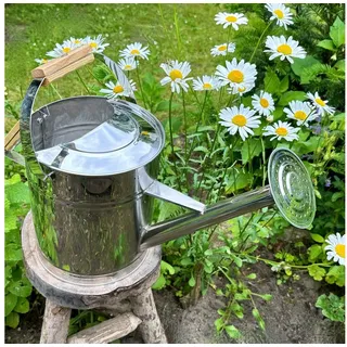Antikas Gartenpflege-Set Gießkanne aus Edelstahl, Silber, Deko-Kanne, Blumenbeet silberfarben