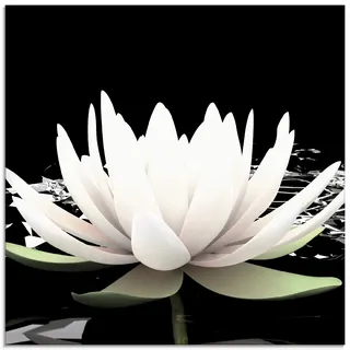 ARTland Wanddeko Glasbilder Wandbild Glas Bild einteilig 40x40 cm Quadratisch Asien Botanik Blumen Blüten Lotusblume Seerose Modern Schwarz Weiß T9NL