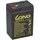 KungLong WP4 5-6 6 Volt 4500 mAh 1 St