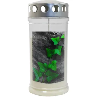 Jeka JEKA-Motivkerze "Efeu auf Stein", 100% Pflanzenöl, 75/170 mm, Brenndauer bis zu 4 Tage, Lieferumfang 3 Stück, Grabkerzen